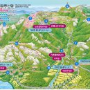 창원역 앞 횡단보도 이미지