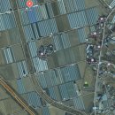 윤석농장 이미지