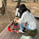 A19 | 동해 삼척 캠핑장 맹방비치캠핑장 A19후기