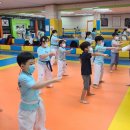 호암태권도 이미지