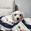 전일한방병원 | 3W~10W|저혈압임산부|임신확인서|임산부등록|산전검사|국민행복카드|바우처신청|태아보험|영양제|추천|후기