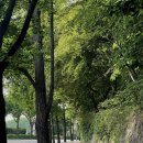 용산-후암-144 이미지