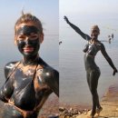 유포농장 이미지