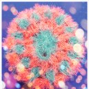 필당구장 이미지