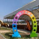 홍성군승마장 이미지