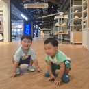 동탄플러스약국 | 《동탄》 동탄의 새로운 핫플레이스! 스타필드마켓 방문 후기
