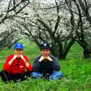 매화농원 이미지