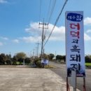 제주참더덕과흑돼지