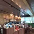두언27 | 리트리버 2마리가 반겨주는 여수 애견동반감성카페 두언 아이들과다녀온(내돈내산)솔직후기