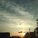 그랜드경희한의원 이미지