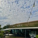 영천솔롱고글램핑 이미지