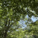 오미기사식당 | 전남 구례 로컬 찐 추천 코스 | 지금 이 순간 구례에서 가장 아름다운 곳 | 화엄사 연기암, 반야원...