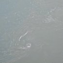 울돌목 | 명량해상케이블카 탑승 후기-울돌목 위 스릴 만점 역사체험!