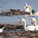 동읍1200 이미지