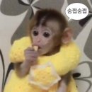중산리맛집