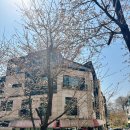 화성열매협동조합 | 동탄카페) 화성 노작공원 산책 후 힐링 한 잔, 감성 카페 &#39;쉬시오&#39;에서 봄을 마시다.