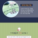 포그나미 | [포그나미] 유아동 순면 워싱 차렵 3종세트 (낮잠이불세트) 무료체험단 모집 (~4/12)