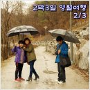 영월아프리카미술박물관 이미지