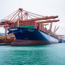 선주로-2 이미지