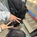 NR-4[원화로]-하-7 | 포근했던 [경주]에서 아직 헤어나오지 못해