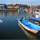 장림포구 이미지