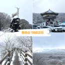 지에스25 가산한라점 | 제주 한라산 1100고지 눈꽃버스 타고 다녀온 후기 / 통제 상황 확인