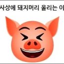 돼지33 Daum카페