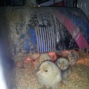 품속농장 이미지