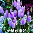 건강한하루 이미지