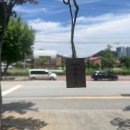 Point-봄의 향 이미지