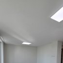 우성동백 이미지