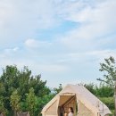 스테이무카 이미지