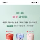 스프링가든 이미지
