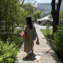 민's 펫살롱 이미지