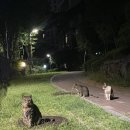 수빈민박 이미지