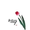 글씨테라피, 캘리그라피 이미지