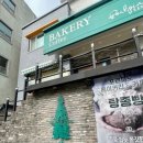 포르피노 이미지