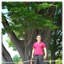 돌기와 토담집 이미지