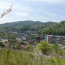 까치산279독미산141황산173입암산127사모바위산129고성산(482m)밧줄봉(546m)와우산(118m)/경북김천 이미지