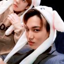 댕둘