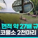 코뿔소농장 이미지