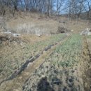 파주6리 경로당 이미지