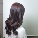 모이모이 이미지