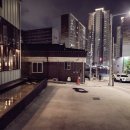 하이브루스81