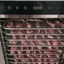 멍멍식객 이미지