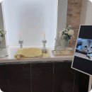 양산강아지장례식 마음 편히 하늘로 보내준 후기