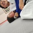 용인대정진유도교실 화원관 이미지