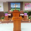 여주-0291 Daum카페