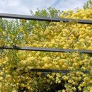 중남부 수도사업소 이미지