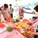 진안마이골 이미지